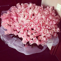 coutureandchanel:  ♡Luxury rosy blog, I follow back all similar♡