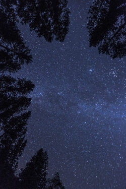 mbphotograph:The stars of Yosemite National Park Follow me for