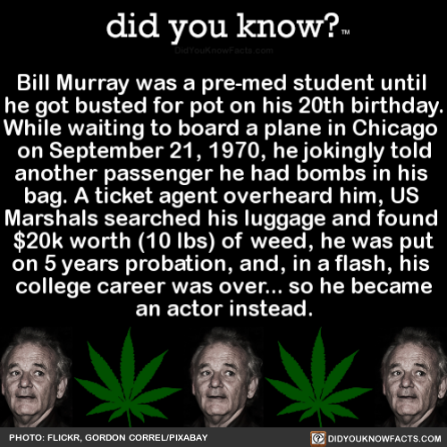 did-you-know:  Bill Murray was a pre-med student until he got