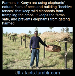 ultrafacts:  Source For more facts, Follow Ultrafacts