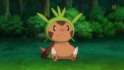 clemontic:  Next week: A fat Chespin, Clemont…. uuuh…. and