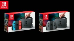 nintendocafe:  Which version of Nintendo Switch will you buy?