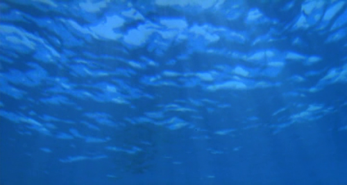 365filmsbyauroranocte:    August in the Water (Sogo Ishii, 1995)