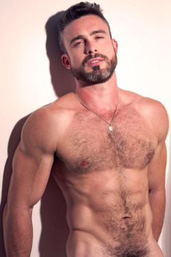 graphicballboy:  hot4hairy:  H O T 4 H A I R Y  Tumblr |  Twitter