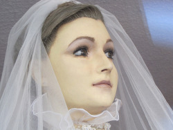 Visit the bridal shop where an embalmed corpse models the dresses 