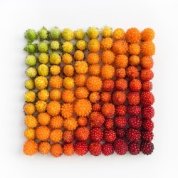 boredpanda:    Satisfying Arrangements Of Everyday Objects By