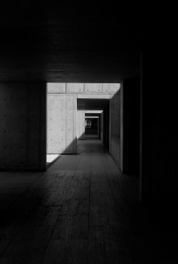 fallowstore:  Salk Institute for Biological Studies | Louis Kahn