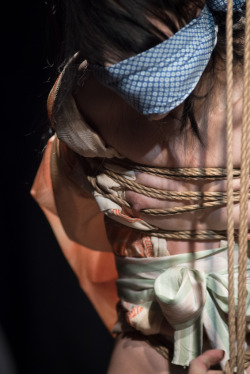 thevertigonetwork:    Kinbaku Naka AkiraModel Iroha Shizuki