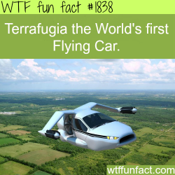 wtf-fun-factss:  Terrafugia, the worlds first flying car - WTF