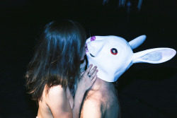 quatre48:  [01.07.14] 4.48.com pleasefollow the white rabbit