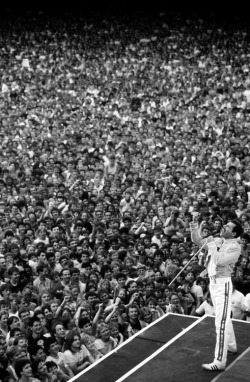 maudelynn:  Freddie Mercury, of Queen, in concert