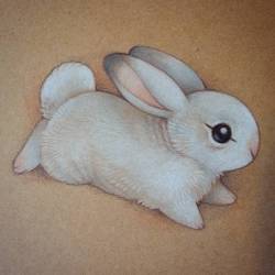 sam-bragg:  Prismacolor bunny. I have always loved prismacolor