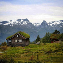 homeintheforest:  by hildebjorg66 http://ift.tt/XqozsY by visitnorway.com