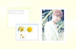 smolgyu:  seventeenâ€™s vocal unit and their birth flowers for anon. 