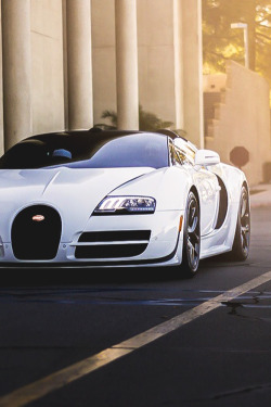 motivationsforlife:  Bugatti Veyron Vitesse L'Orque Blanc //