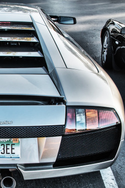 fullthrottleauto:  Lamborghini Murcielago - Rear (by Millionaire