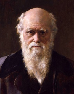 John Maler Collier, Portrait of Charles Darwin (detail), 1883