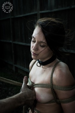 tiedupcat:  Rope bliss. Tie by @secondfloor-fet. Photography