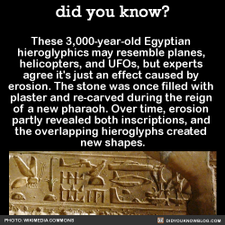 did-you-kno:  These 3,000-year-old Egyptian  hieroglyphics may