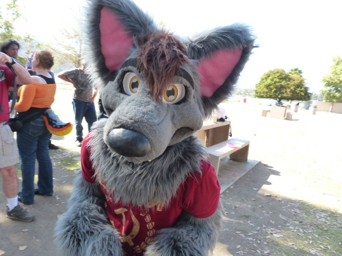 aceofheartsfox:  Hey, everybody! Hope you’re all having a picture perfect week! :3 hehe Photos by Wingo using equipment from LostWolf 
