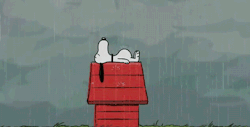 whereiswally:  Snoopy 