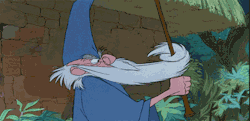 definitionofdisney:  If you love Disney you must follow this
