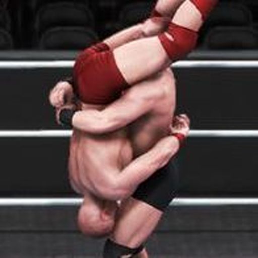 Piledrive U