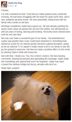 maxofs2d:  gabe the dog passed away… rest in peace pupper ;_;