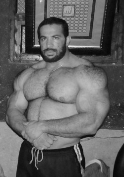 Muscles galore - awesome hairy pecs and shoulders - WOOF