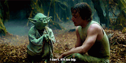 black-nata:  out of context this looks like yoda is a pimp with