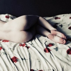 collideintous:  Ph. Ewa Adriana Szumowska 