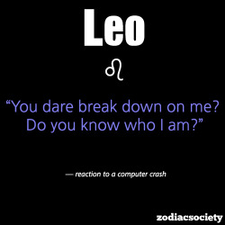 zodiacsociety:  Leo reaction to a computer crash 