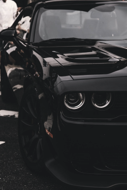 classyxsexxy:  Dodge Challenger. | cXs