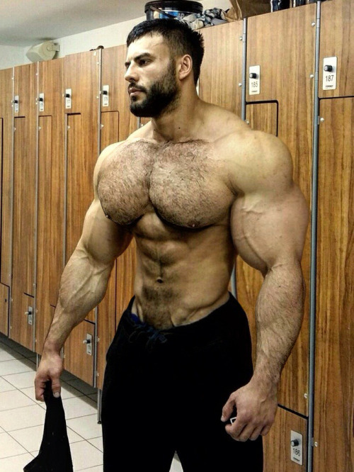 nastymuscle: Pecs!
