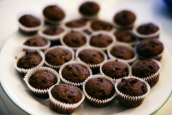 aphelia:  Mini Cupcakes by tinamswain on Flickr. 