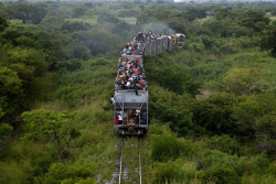 Illegal immigrants ride a cargo train towards the city of Ixtepec,
