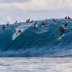 Surf Life