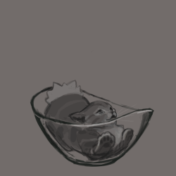 csticcoart: doodled some cats laying in glass bowls as practice