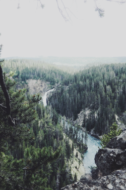 expressions-of-nature:  by: Hannah Kemp