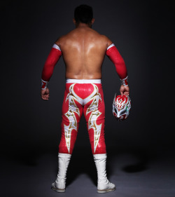 fishbulbsuplex:  Sin Cara