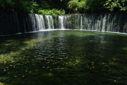 mizunokisu:白糸の滝 by S.Konnai on Flickr.