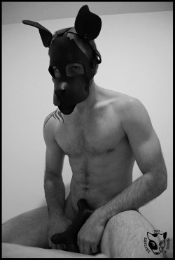 mastersfido:  deviantdogsnaps:  Dog & Bone : @MrSLeather