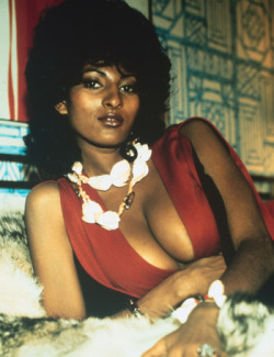 dustball443:  thecontroversydaily:  Pam Grier  :)~   This lady