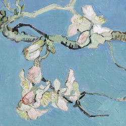 lonequixote:  Almond Blossom (detail) by Vincent van Gogh (via