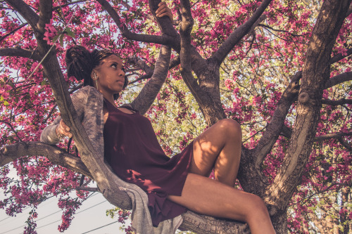 karl-shakur:  Spring Blossoms by Karl-Shakur 