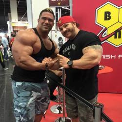 needsize:  Paulo Almeida and Flex Lewis