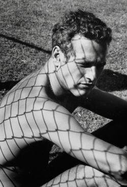 oldhollywoodcinema:  Paul Newman photographed by Dennis Hopper