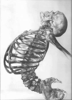 terrorterrorifico:  Breathtaking