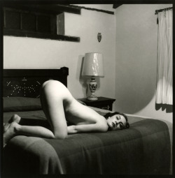 inrooms:  room armonia fiber-based gelatin silver print 