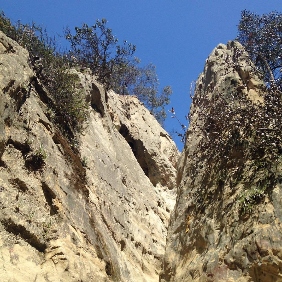 <p>at San Elijo Lagoon County Park and Ecological Reserve</p>